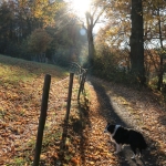 Herfst_in_Zuid_Limburg_10