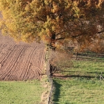 Herfst_in_Zuid_Limburg_9