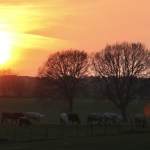 Lente_in_Zuid_Limburg_13