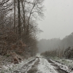 Winter_in_Zuid_Limburg_6