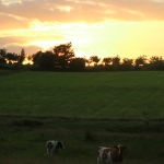 Zomer_in_Zuid_Limburg