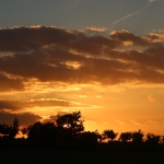 Zomer_in_Zuid_Limburg_5